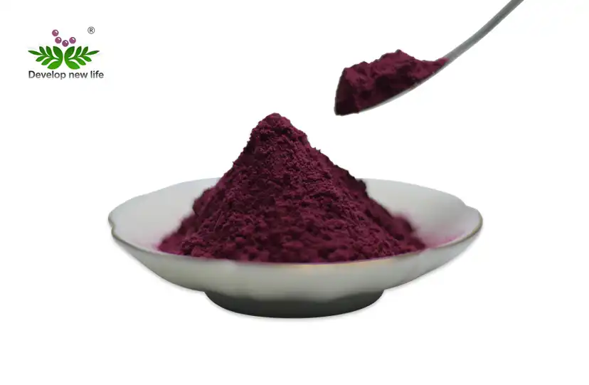 Cranberry Extract 50% Proanthocyanidins